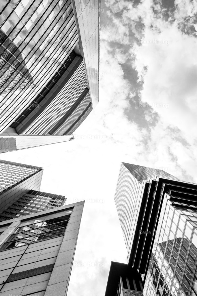 _DSC0016 | renehering - Realisiert mit Pictrs.com