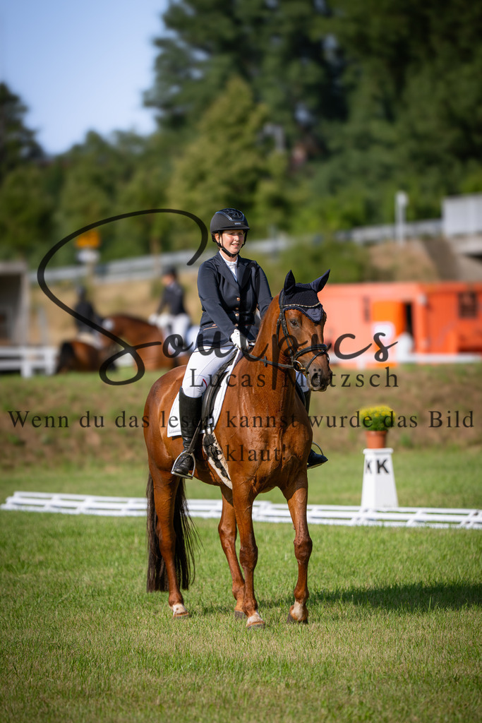 A7V09293 | Pferdefotograf