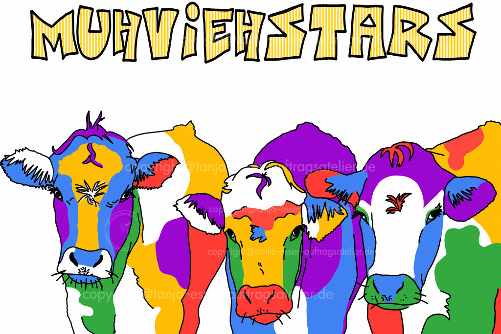 170 Muhviehstars vor weissem Hintergrund D | Drei bunte Kuh Portraits vor einem weißen Hintergrund. Sehr bunte, leuchtende Farben.Schriftzug ist eine Mischung aus deutschen Wörtern "Muh", "Vieh" und dem englischen Text "Moviestars".
