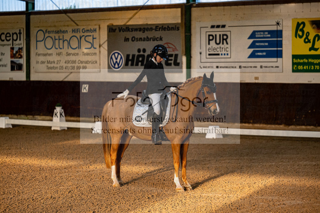 20240308-DOS_4901 | Entdecke hochwertige Reitturnierfotos von Foto Oger. Professionell, emotional und authentisch – jetzt Lieblingsmomente im Shop bestellen. - Realisiert mit Pictrs.com