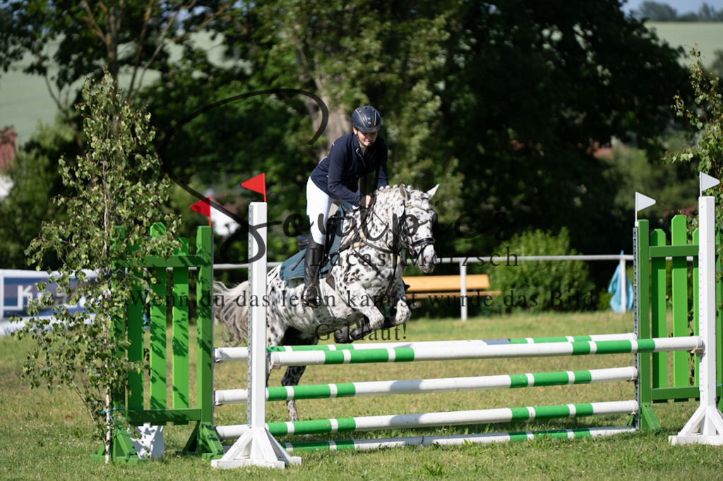 A7V05336 | Pferdefotograf