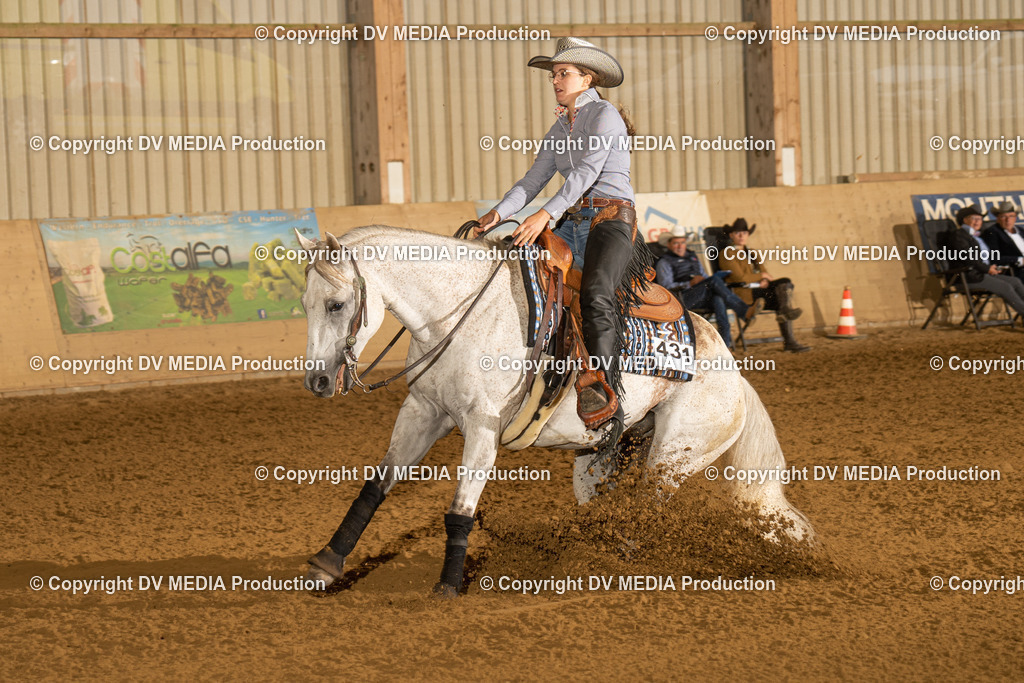 LAU00232 | dv-media-shop - Realisiert mit Pictrs.com