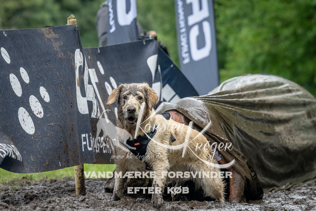 1159_ZZ90607 | kk-dogfotos