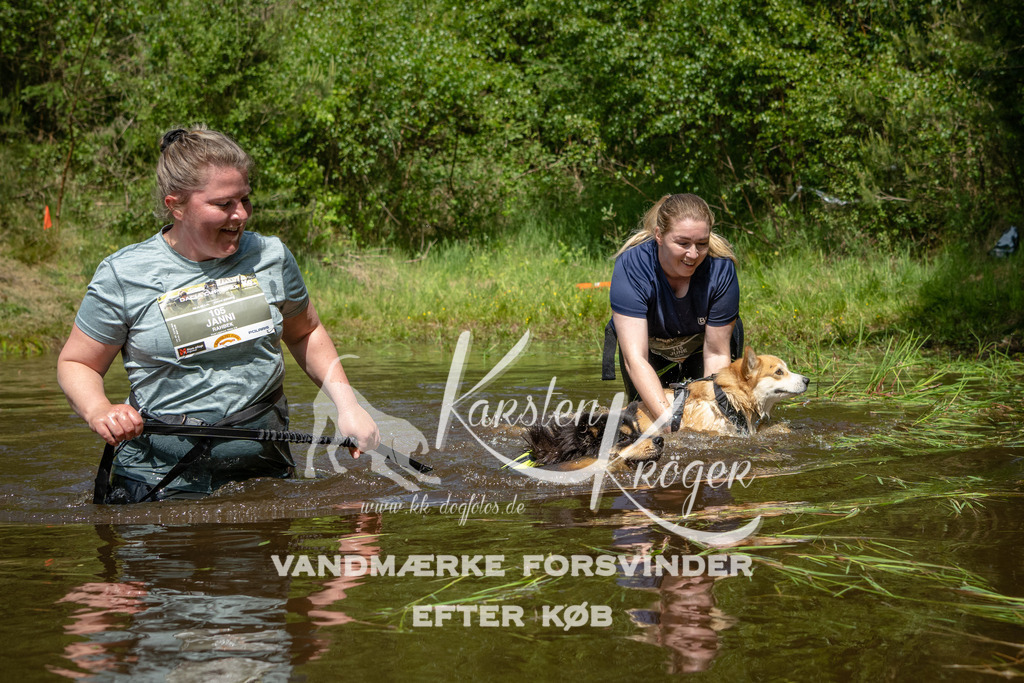 1216DKK992363 | kk-dogfotos