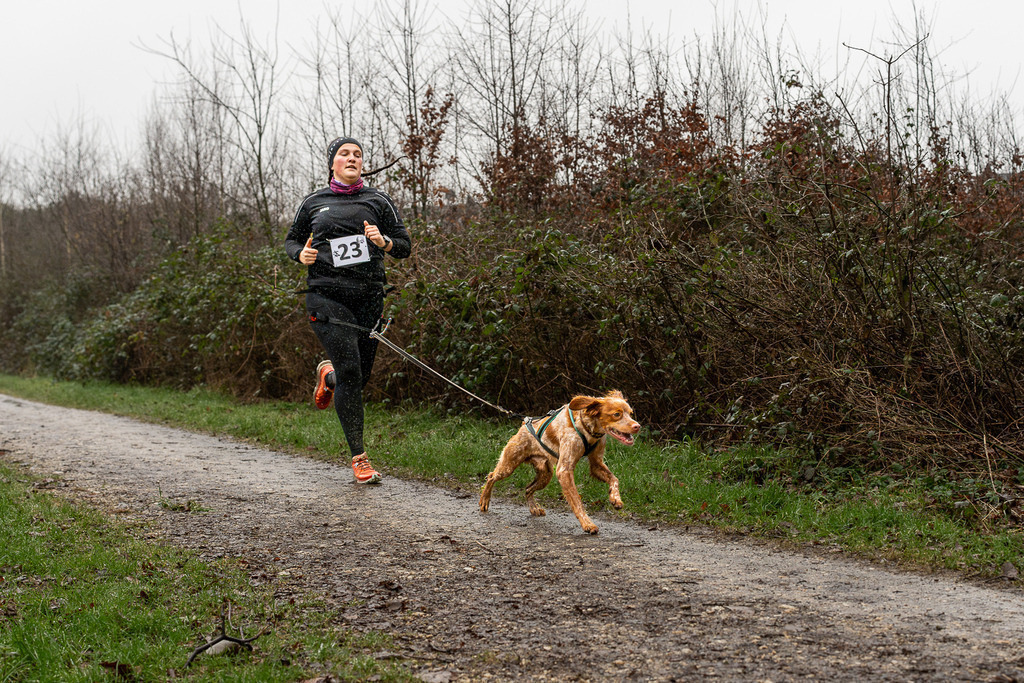allesWIRTHgut Tierfotografie - 7IV05644-Verbessert-RR | Professionelle Tierfotografie in Mönchengladbach von Daniel Wirth (allesWIRTHgut). Liebevolle & natürliche Bilder von Hunden & Katzen für unvergessliche Erinnerungen.