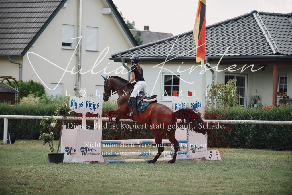 DSC_5727 | Pferde- und Turnierfotografie in Westsachsen. Pferdeportraits, Auftragszeichnungen und intuitive Kunst.