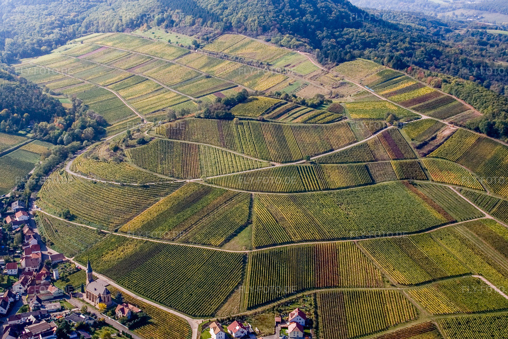 Luftbild: Weinlage Kastanienbusch 