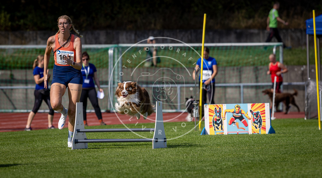 Pfotenfotografie_DV3A0693 | Hundefotografie, Tierfotograf, Pfotenfotografie, Fotoshooting Hund, Hunde Portrait, Hundesport, Hundeportraits, Heideshooting, Hunde, Sportfotograf, Hundefotograf, Turnierhundsport, THS,  - Realisiert mit Pictrs.com