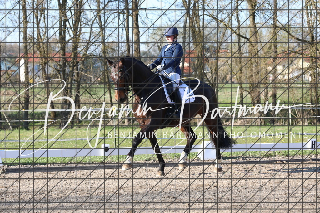 AZ2A6758 | Benjamin Bartmann Photomoments