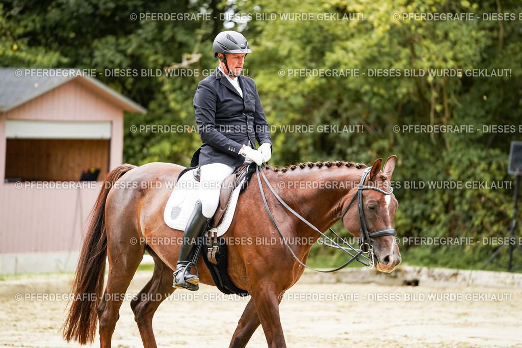 DSC03812 | Pferdegrafie