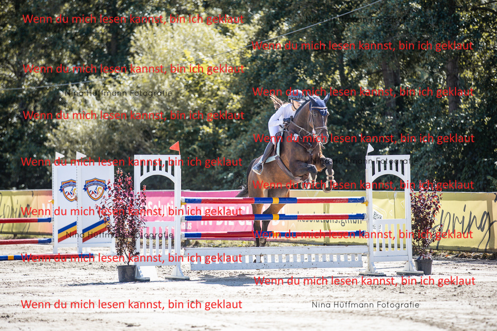 BK1A6667 | Turnierbilder Turnierfotos Nina Hüffmann Turnierfotografie Pferdefotografie Tierzeichnung Haustierzeichnung Pferdezeichnung Hundezeichnung Videograf  - Realisiert mit Pictrs.com