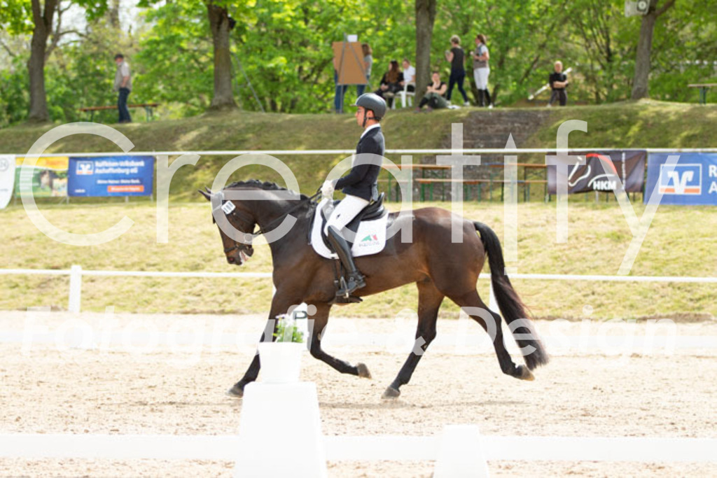 IMG_2791 | Creatify Fotografie