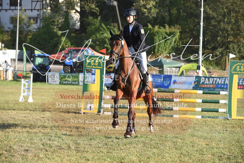 DSC_4865 | Pferde- und Turnierfotografie in Westsachsen. Pferdeportraits, Auftragszeichnungen und intuitive Kunst.