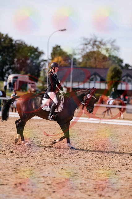 2026_10_03_Siefer-Hof_132235_Z81_72109351 | Professionelle Reitsport-, Turnier- und Eventfotografie von Robert Broda. Galerien mit ausgewählten und bearbeiteten Bildern direkt online ansehen und bestellen.