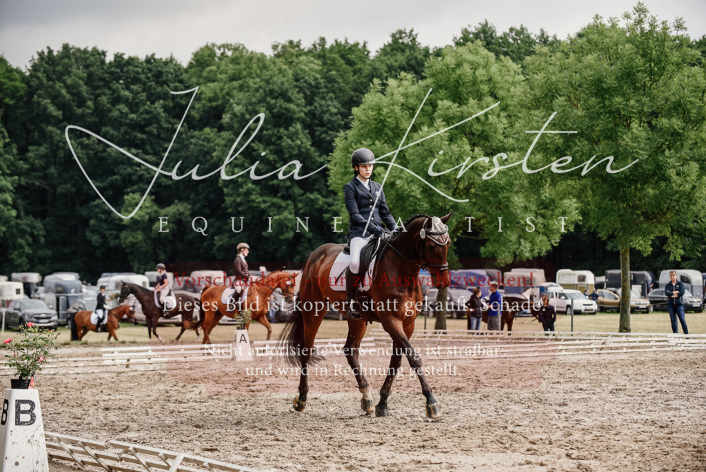 DSC_9601 | Pferde- und Turnierfotografie in Westsachsen. Pferdeportraits, Auftragszeichnungen und intuitive Kunst.