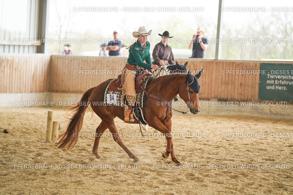 DSC04616 | Pferdegrafie