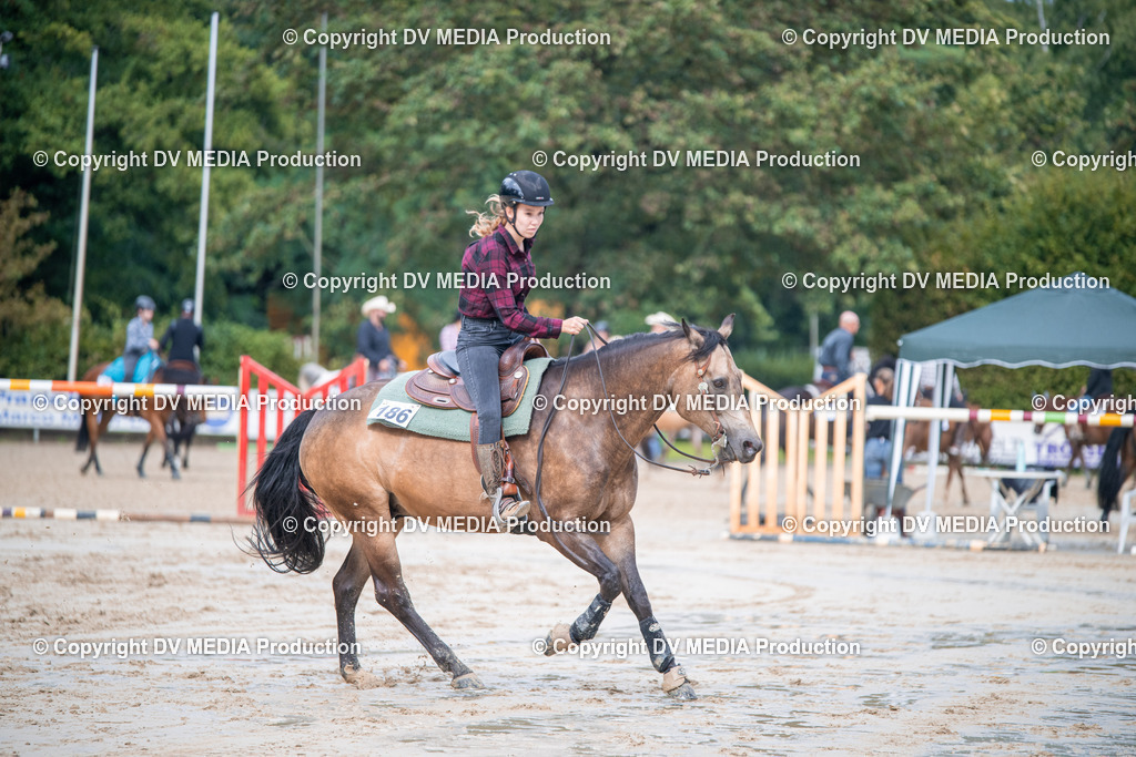 ZS2_4255 | dv-media-shop - Realisiert mit Pictrs.com