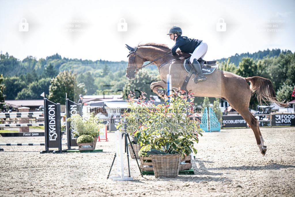 DOS_7672 | Entdecke hochwertige Reitturnierfotos von Foto Oger. Professionell, emotional und authentisch – jetzt Lieblingsmomente im Shop bestellen. - Realisiert mit Pictrs.com