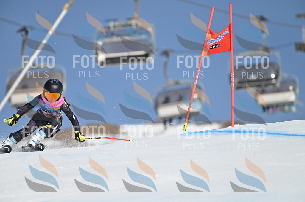 BGV_8036 | holidayphoto