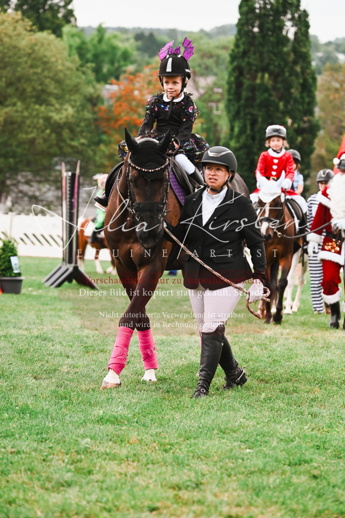 DSC_7509 | Pferde- und Turnierfotografie in Westsachsen. Pferdeportraits, Auftragszeichnungen und intuitive Kunst.