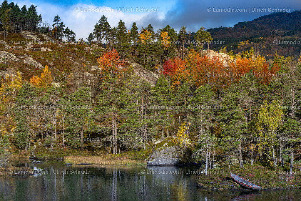 10047-10053 - Herbststimmung am See - Norwegen | Stockfoto und Bilderpool mit Bildmaterial aus Deutschland, dem Harz, Halberstadt, Quedlinburg, Wernigerode und weltweit. Qualitativ hochwertige und professionelle Fotos anschauen und kaufen. - Realisiert mit Pictrs.com