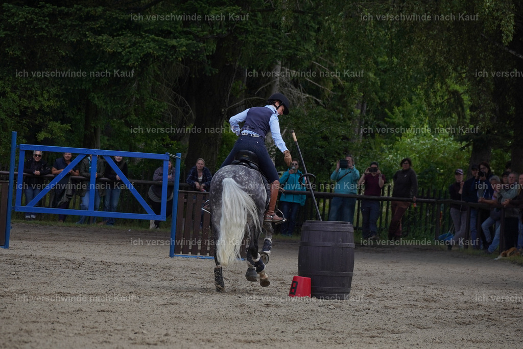 KlasseS_Lucie (207) | working equitationturnier fotograf videograf stoibphotography marixx film working equitation deutschland reitsport turnierfotografie eventfotografie equestrian events