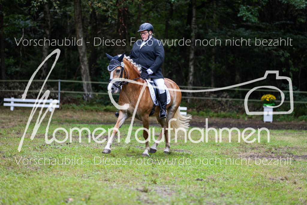 HB-A-Dressur-117 | MomenTaufnahmen Pferdesportfotos