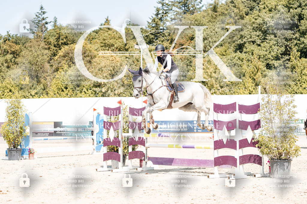 CK900881 | Turnierfotografie Pferdefotografie Trier Rheinland-Pfalz Pferdesport Reitsport Tierfotografie Sportfotografie Pferdevideo Pferdevideografie Equestrianvideography equestrianphotography  - Realisiert mit Pictrs.com