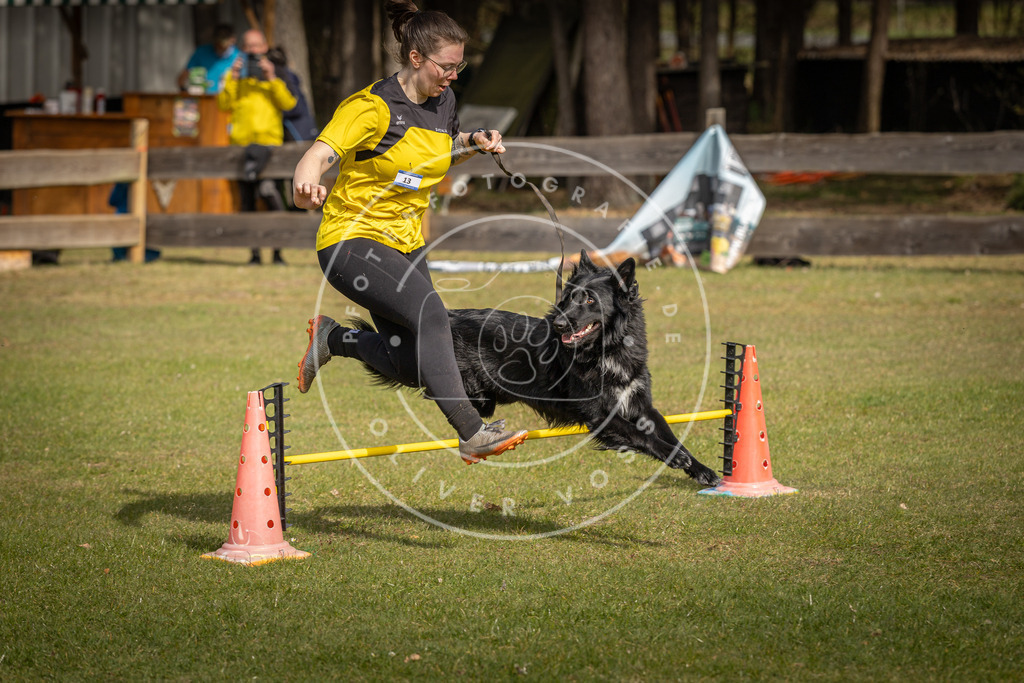 Pfotenfotografie_DV3A9550 | Hundefotografie, Tierfotograf, Pfotenfotografie, Fotoshooting Hund, Hunde Portrait, Hundesport, Hundeportraits, Heideshooting, Hunde, Sportfotograf, Hundefotograf, Turnierhundsport, THS,  - Realisiert mit Pictrs.com