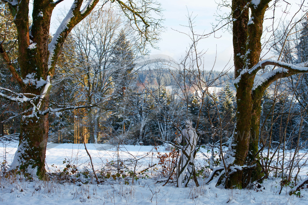 NatureArt-SNOWSOLLING_152602b | Zwischen den Zweigen | #003 | Modell: Darky | Foto: Carsten Dauer - Realisiert mit Pictrs.com