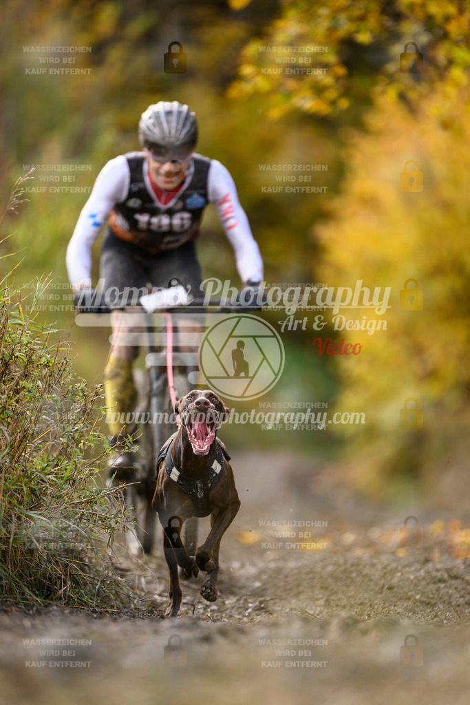 MompixPhotography_ICF_WC_2024_SA_Bike_-275 | PayLife