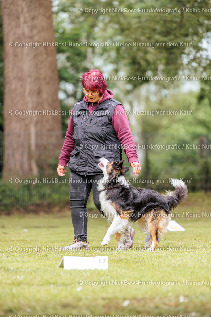 RO-Blumenthal-2026-Nickbest-Hundefotografie-2483 | Dein Hund! Dein Moment! Deine Erinnerungen! Hundefotografie in Bremen Blumenthal. Ich fange die besonderen Momente deines Vierbeiners ein – ob Indoor mit Blitzanlage oder in der freien Natur. Sicher dir dein Moment und dein Termin für eure Erinnerungen.