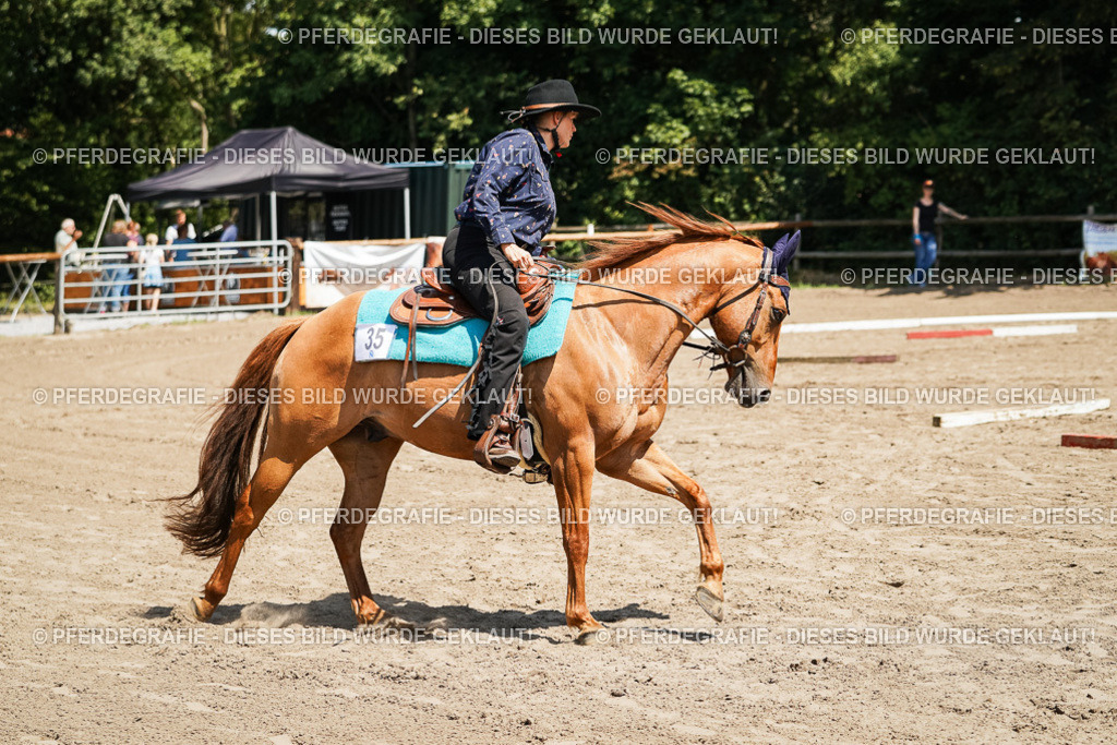 DSC06805 | Pferdegrafie