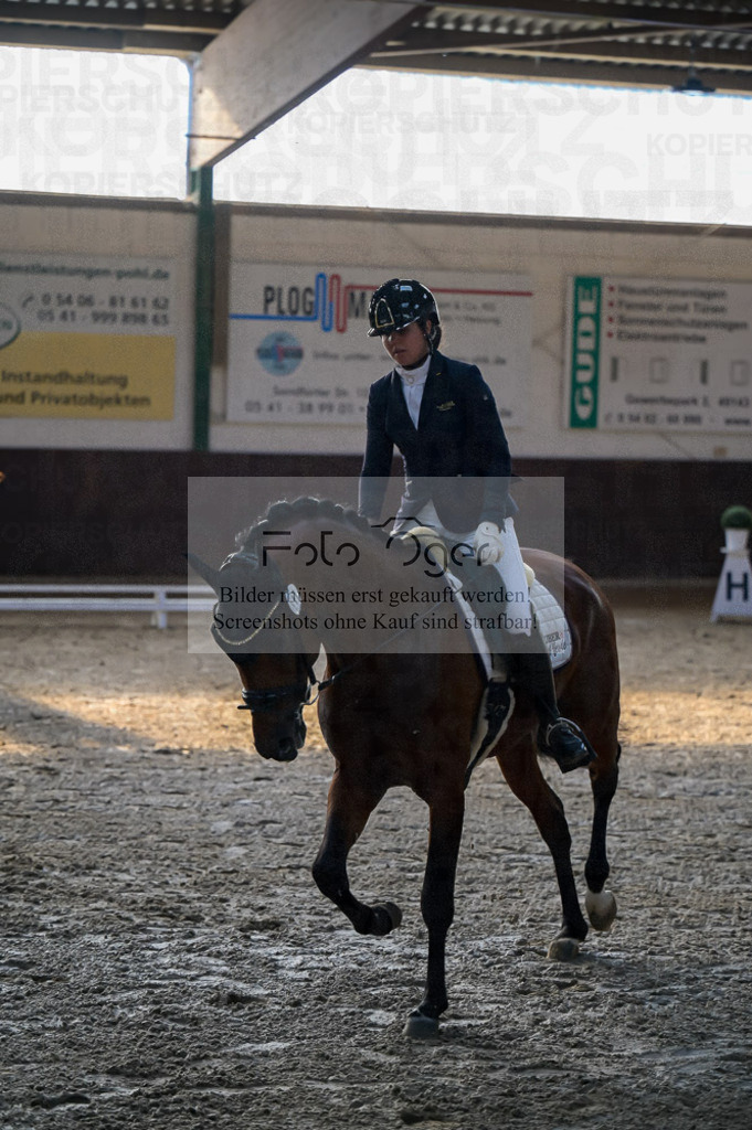 Reitturnier Voxtrup | Entdecke hochwertige Reitturnierfotos von Foto Oger. Professionell, emotional und authentisch – jetzt Lieblingsmomente im Shop bestellen.Deutschlandweite Turnierfotografie. - Realisiert mit Pictrs.com