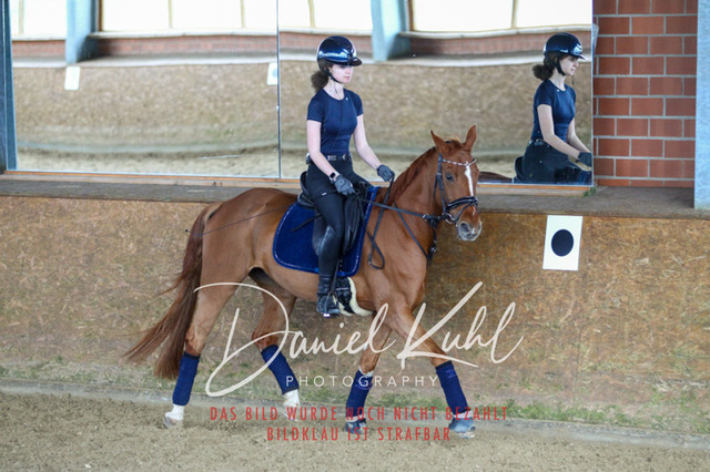 DKP42744 | Turniersportfotografie; Pferdefotografie; Dressurfotografie