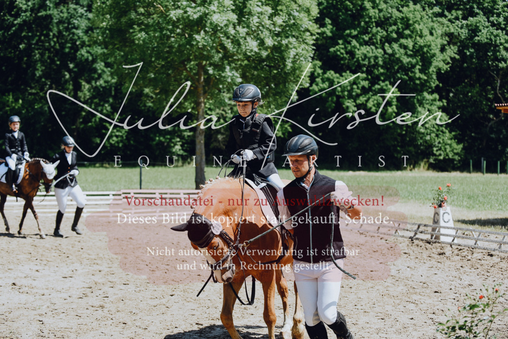 DSC_2611 | Pferde- und Turnierfotografie in Westsachsen. Pferdeportraits, Auftragszeichnungen und intuitive Kunst.