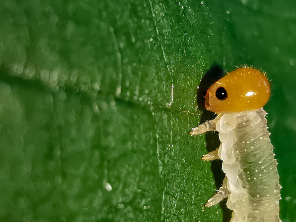 PSX_20230906_232751 | mtkfoto_ - Realisiert mit Pictrs.com