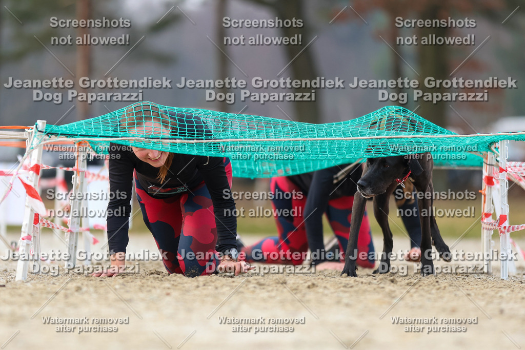 Dog Paparazzi - Strongdog North Mrz26-4081 | Dog Paparazzi Jeanette Grottendiek Fotografie & Videografie - Realisiert mit Pictrs.com