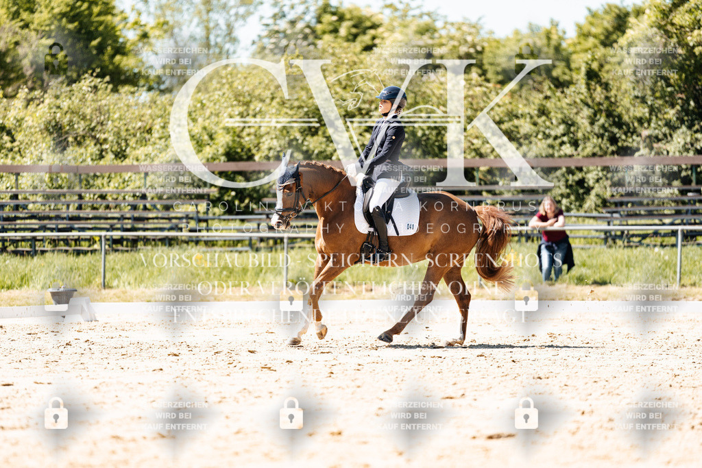 CK905679 | Turnierfotografie Pferdefotografie Trier Rheinland-Pfalz Pferdesport Reitsport Tierfotografie Sportfotografie Pferdevideo Pferdevideografie Equestrianvideography equestrianphotography  - Realisiert mit Pictrs.com