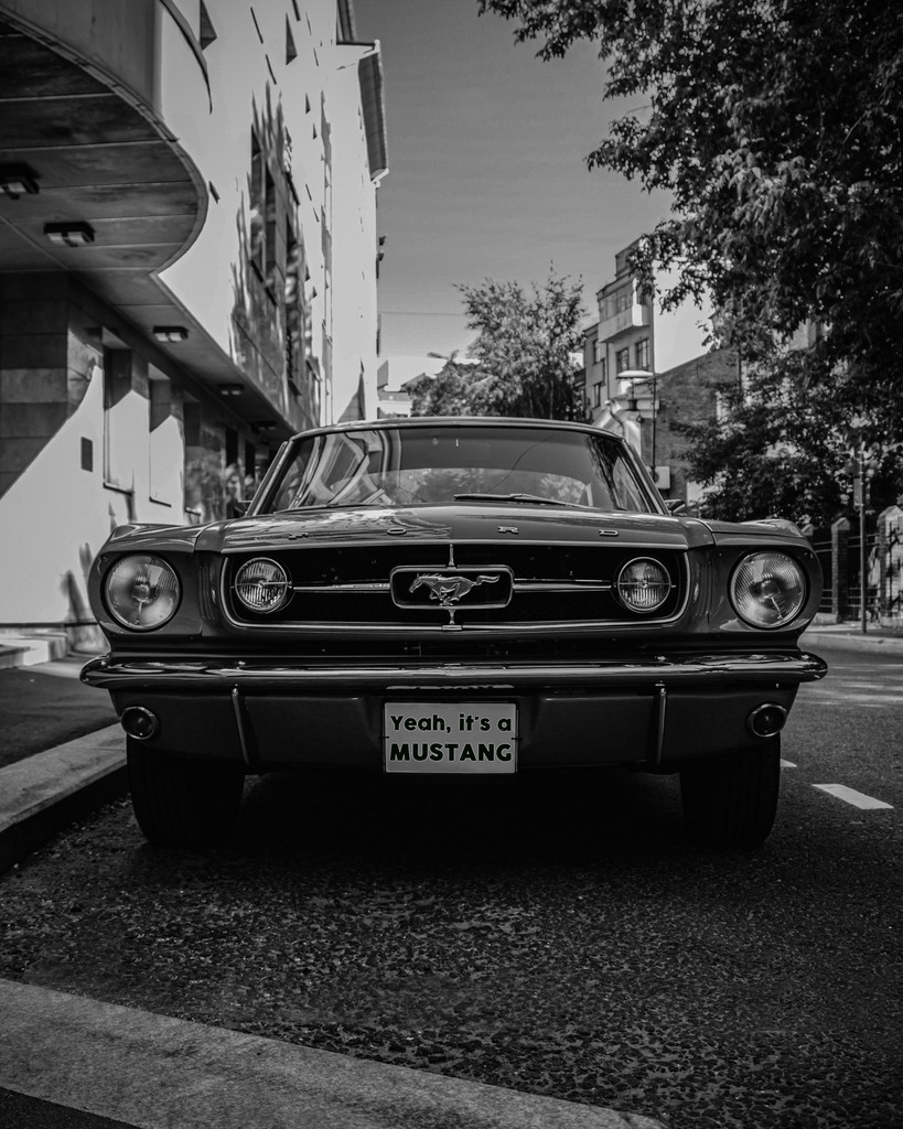 Ford Mustang Parking | Das urtypischste aller US-Cars, der Forrd Mustang. Ein er der beliebtesten amerikanischer Sportwagen, die jemals gebaut wurden. Ein hochwertiges Wandbild in brillanter Druckqualität auf Acrylglas, Alu-Dibond, Leinwand und vielen weiteren Wandprodukten perfekte geeignet für Ihr Ambiente. - Realisiert mit Pictrs.com