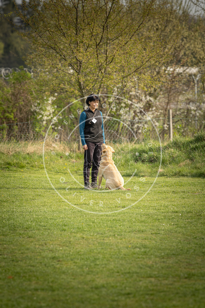Pfotenfotografie_DV3A4996 | Hundefotografie, Tierfotograf, Pfotenfotografie, Fotoshooting Hund, Hunde Portrait, Hundesport, Hundeportraits, Heideshooting, Hunde, Sportfotograf, Hundefotograf, Turnierhundsport, THS,  - Realisiert mit Pictrs.com
