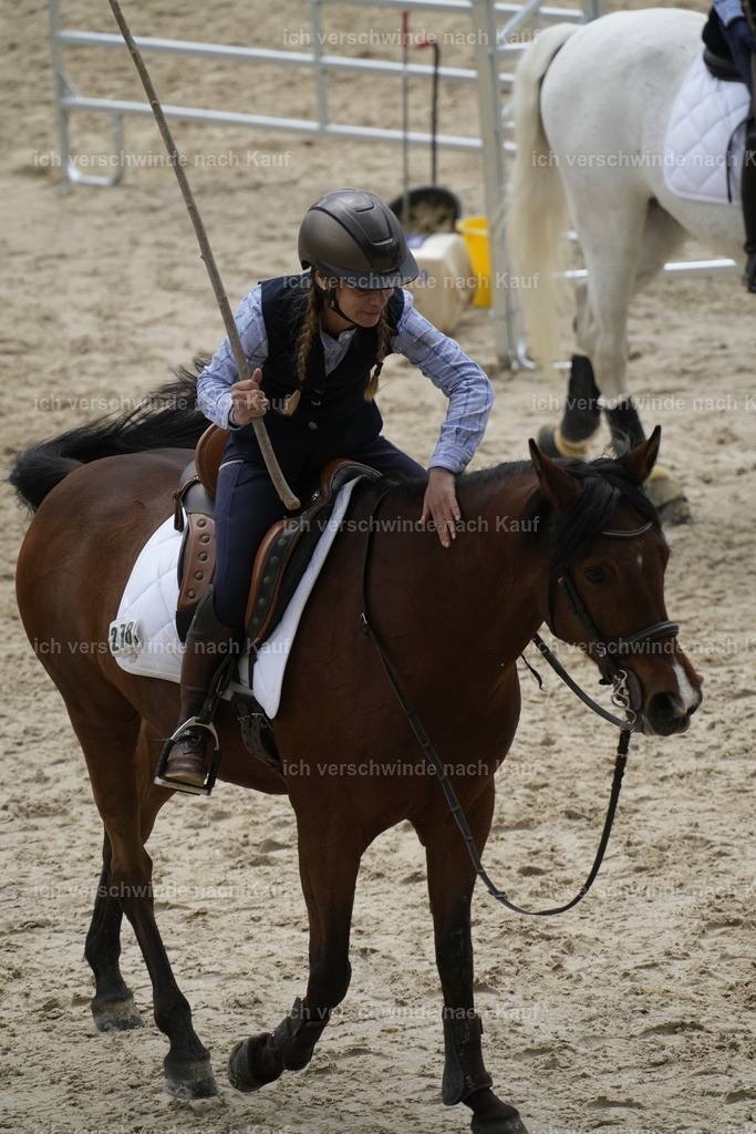 PI26_COW_Stoibphotography_A749643.JPG | working equitationturnier fotograf videograf stoibphotography marixx film working equitation deutschland reitsport turnierfotografie eventfotografie equestrian events