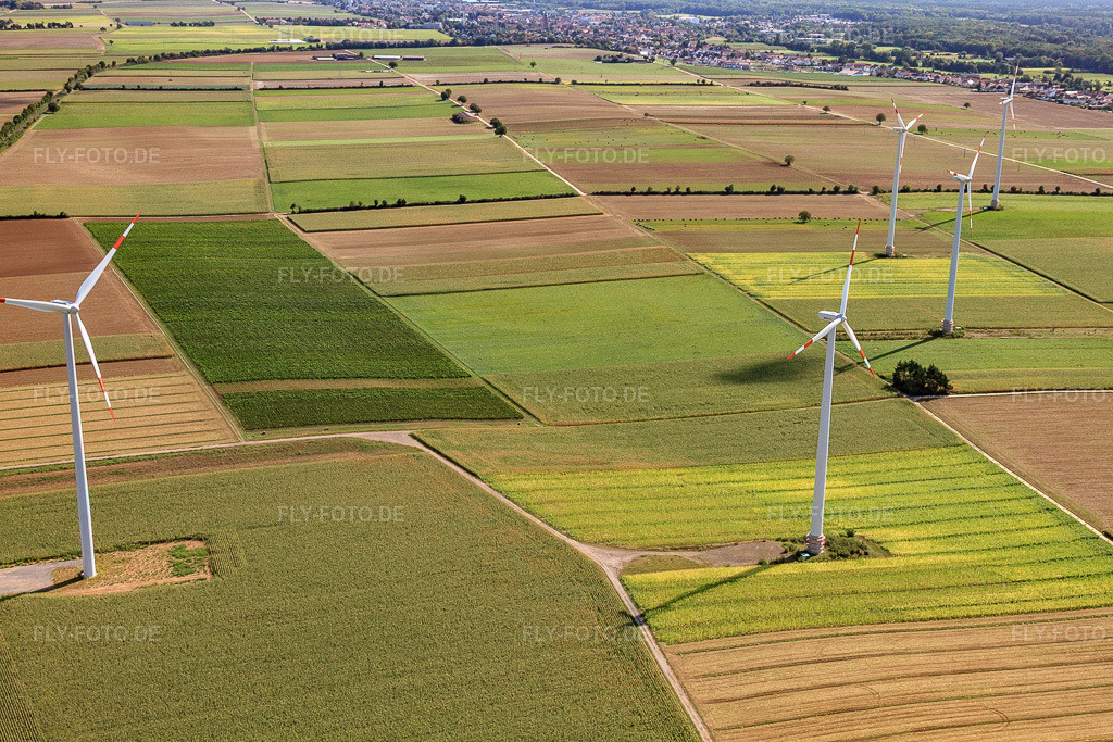 Luftbild: Windkraftanlagen des Windpark Minfeld in Minfeld im Bundesland Rheinland-Pfalz in Deutschland. Foto: IMG_21064.jpg vom 06.09.2009 durch Werner Riehm/FLY-FOTO.de