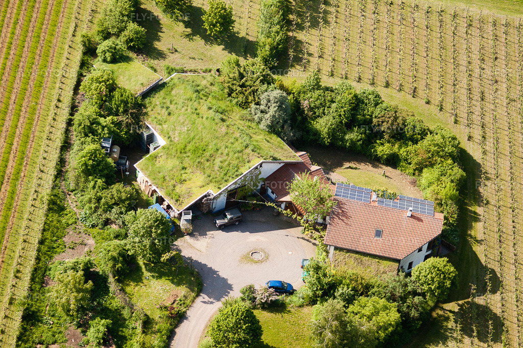 Luftbild: BiolandWeinbau Unterm Grassdach Weingut Marzolph im Ortsteil Wollmesheim in Landau im Bundesland Rheinland-Pfalz in Deutschland. Foto: IMG_27260.jpg vom 23.05.2010 durch Werner Riehm/FLY-FOTO.de
