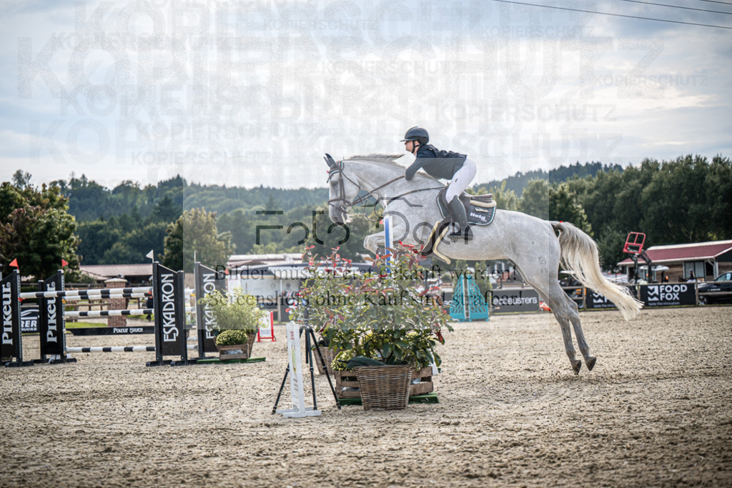 DOS_2516 | Entdecke hochwertige Reitturnierfotos von Foto Oger. Professionell, emotional und authentisch – jetzt Lieblingsmomente im Shop bestellen.Deutschlandweite Turnierfotografie. - Realisiert mit Pictrs.com