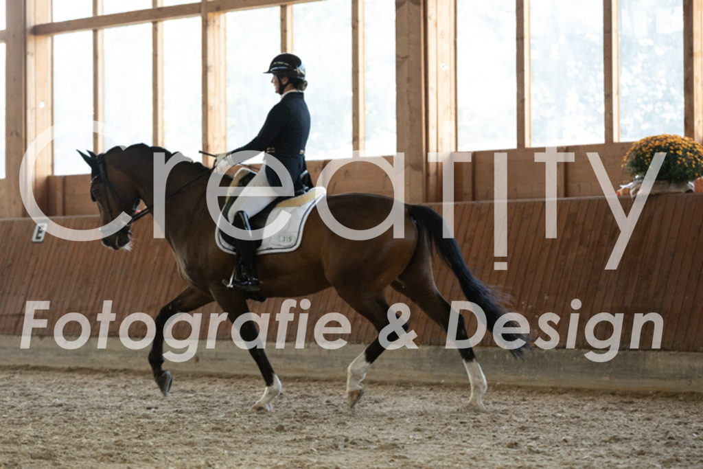 IMG_3817 | Creatify Fotografie