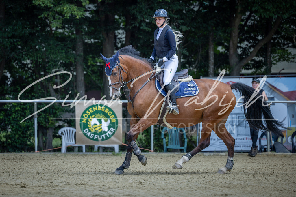 20260704-_3LI9362 | Tierfotografie Pferde, Hunde, Katzen, Haustiere.
Turnierfotografie Reitturniere, Reiten, Springreiten, Dressur in Hanau, dem Main-Kinzig-Kreis und dem Rhein-Main- Gebiet um Frankfurt
