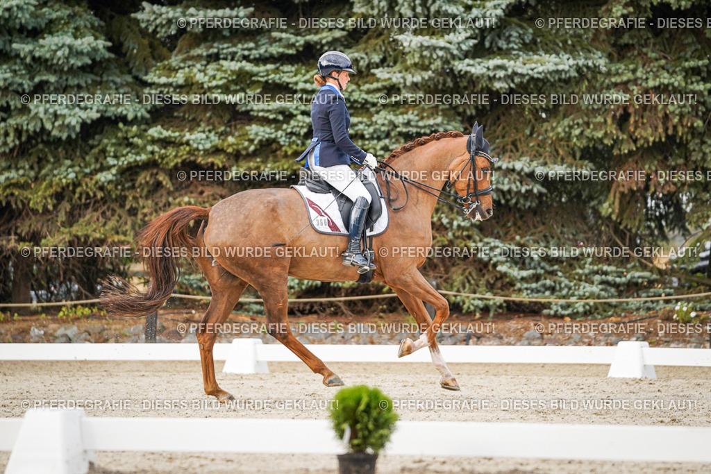 DSC08855 | Pferdegrafie