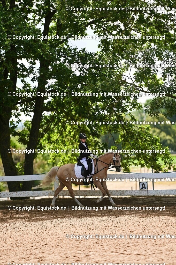 20230716_10-3_Reiter-WB Schritt - Trab - Galopp_0122 | equistock