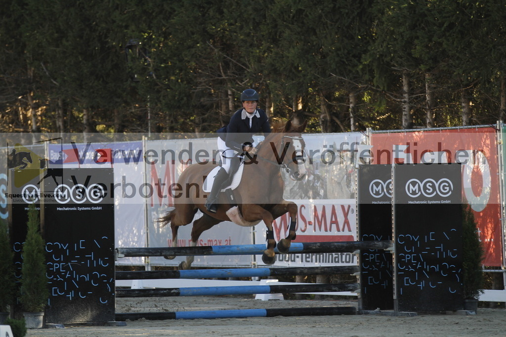 _MG_1153 | equestrian-live-com